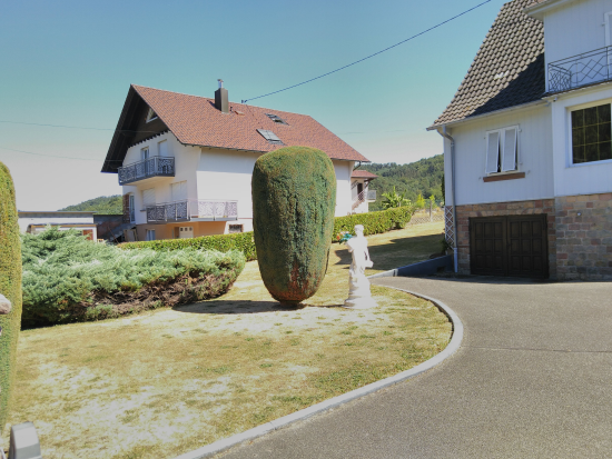 Climbach (Elsass) 
am 7. August 2022